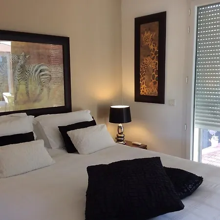 Monaco Penthouse Le Cesar Lejlighed *